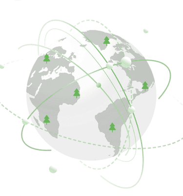 Global reforestation network
